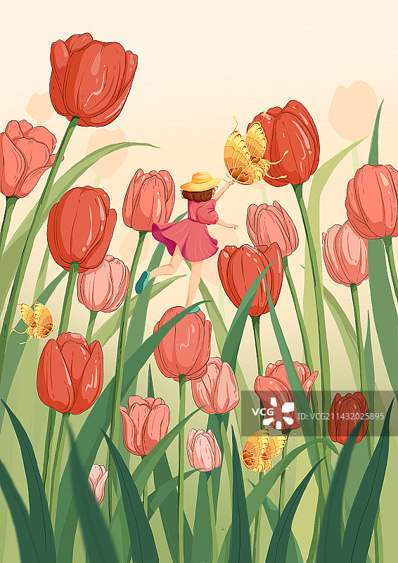 郁金香 夏季 花卉图片素材