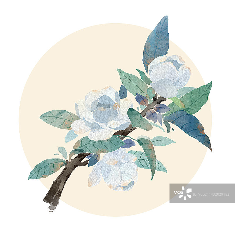 水彩风栀子花图片素材