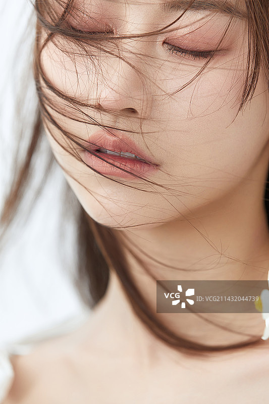 春日花事图片素材