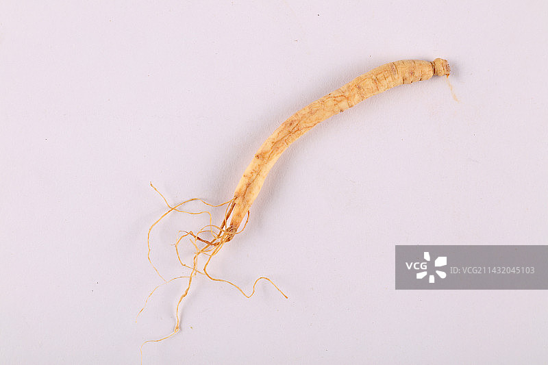 中药中草药白色背景素材图片图片素材