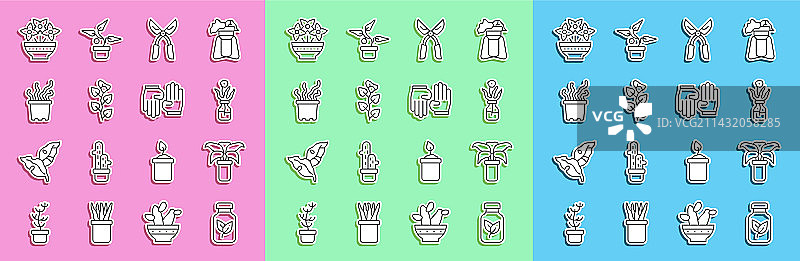 肥料瓶、奇异热带植物线条组合图片素材