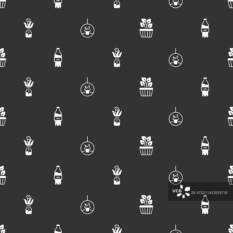 室内盆栽常春藤与水瓶套装图片素材