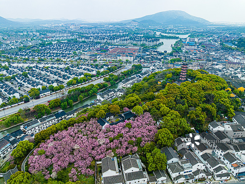 苏州铜观音寺航拍，春天，晚樱开，图片素材