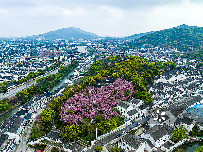 苏州铜观音寺航拍，春天，晚樱开，图片素材