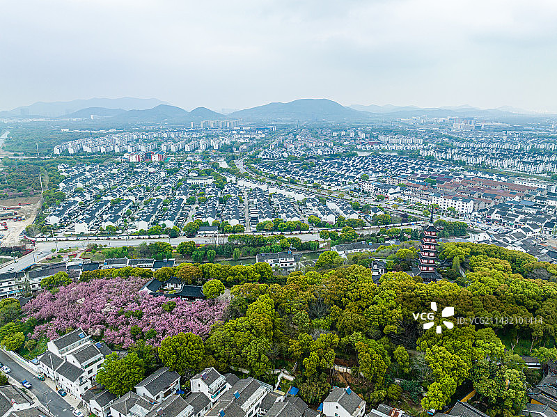 苏州铜观音寺航拍，春天，晚樱开，图片素材