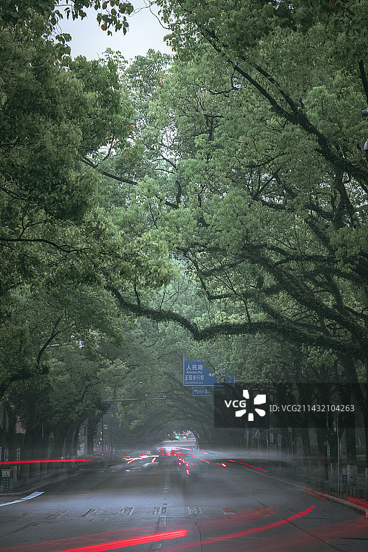 桂林滨江路的春色图片素材