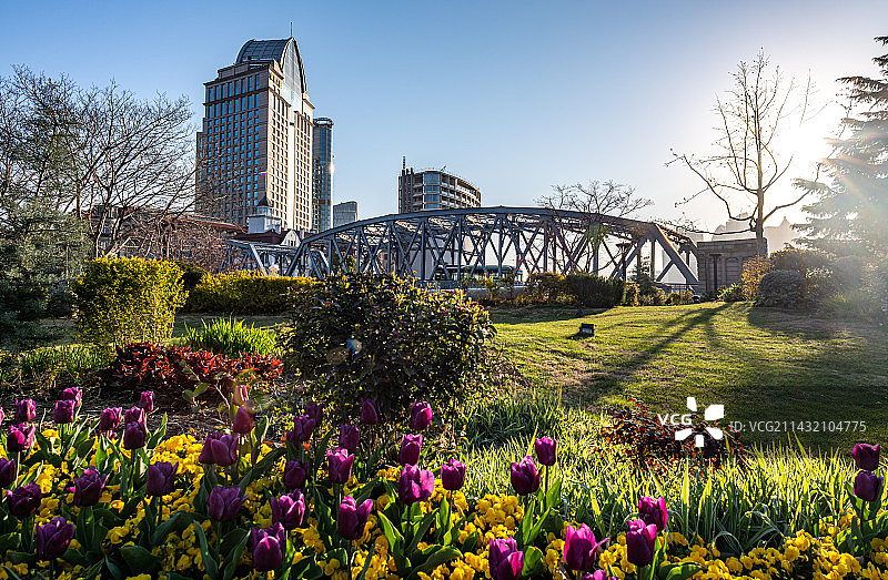 上海苏州河畔纯净蓝天与郁金香花开背景映衬中的上海外白渡桥外滩城市建筑景观城市天际线图片素材