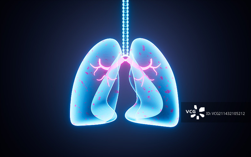 人类肺部结构图3D渲染图片素材
