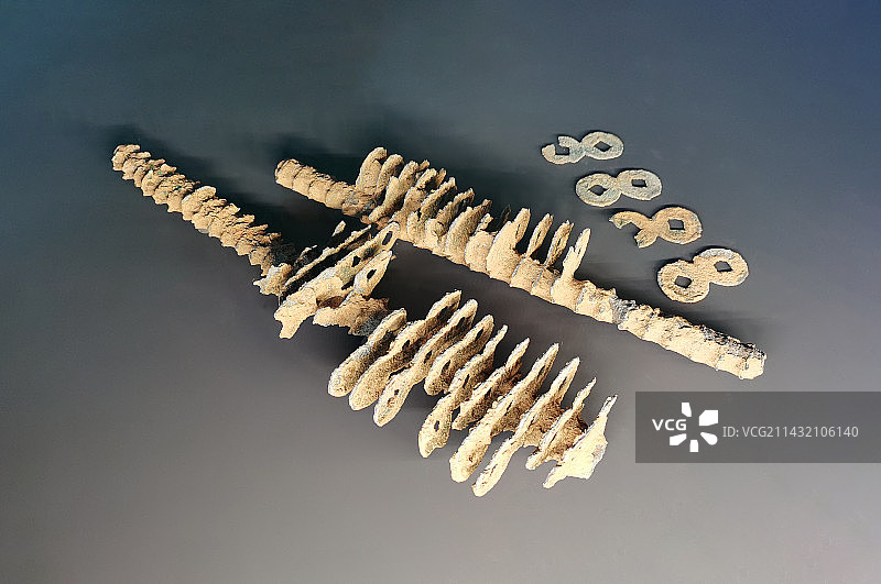 凉山彝族自治州博物馆藏文物 东汉 铜五铢钱叠铸件图片素材