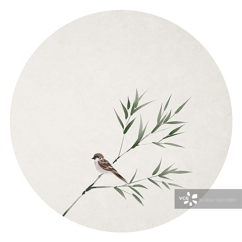 竹叶麻雀插画图片素材