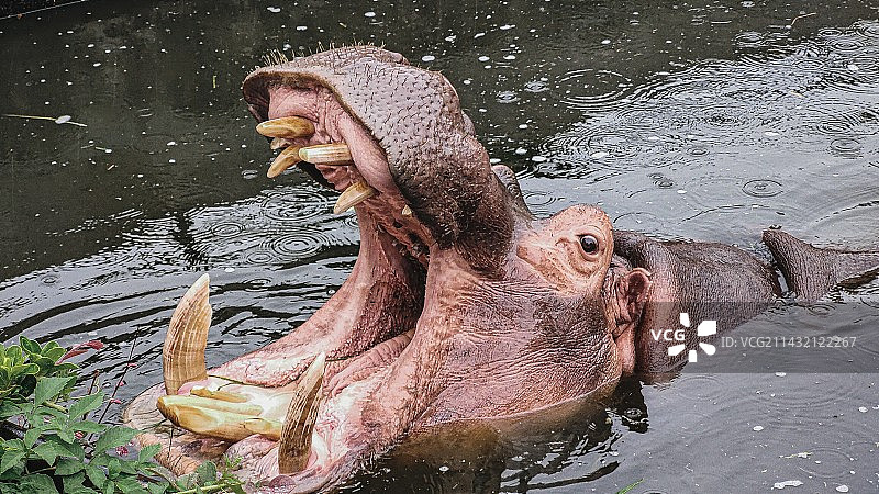 湖中特写镜头图片素材
