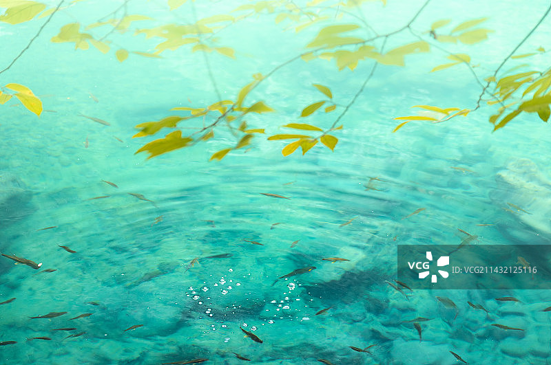 贵州荔波小七孔景区风景风光图图片素材