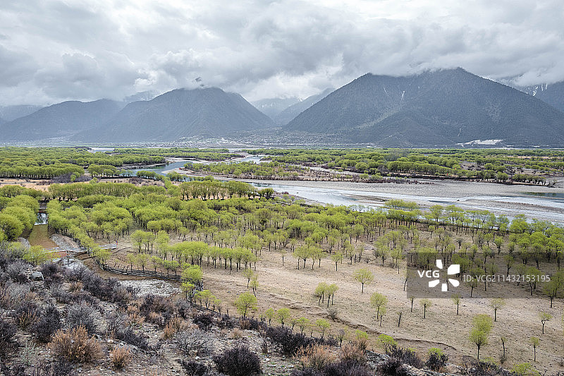中国西藏林芝尼洋河风光图片素材