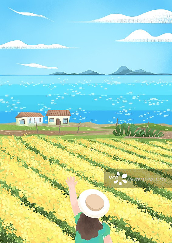 夏日海边旅行油菜花田图片素材