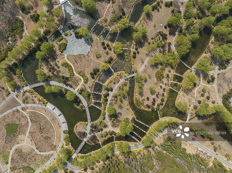 森林公园里的小路图片素材