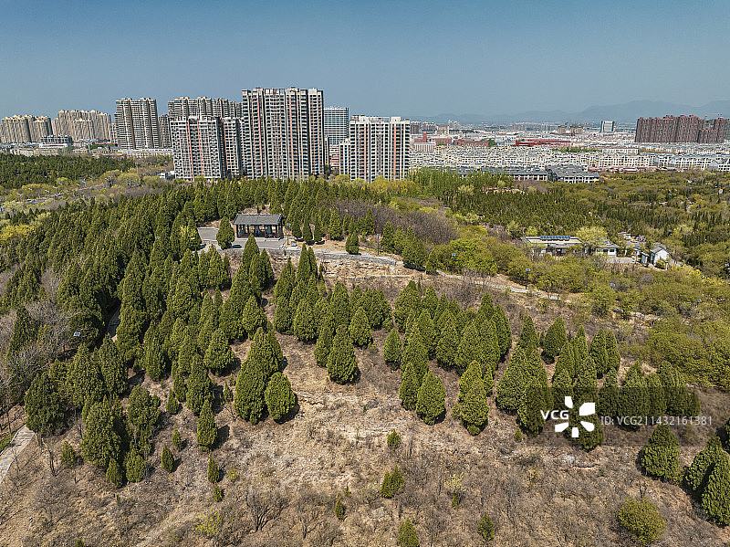 森林公园里的小路图片素材