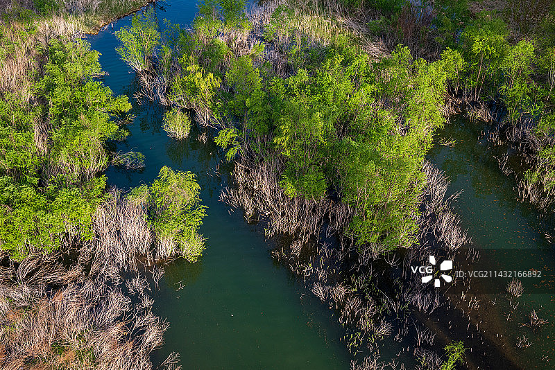 卢氏县范里镇的湿地公园图片素材