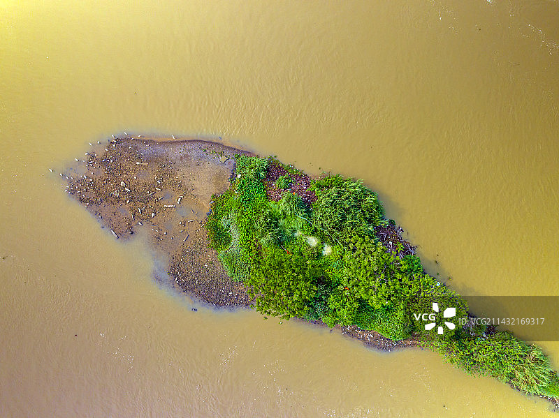 航拍福建漳州九龙江西溪江心岛白鹭栖息地图片素材