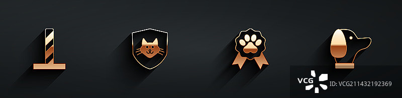 猫抓板玩具与宠物健康图片素材