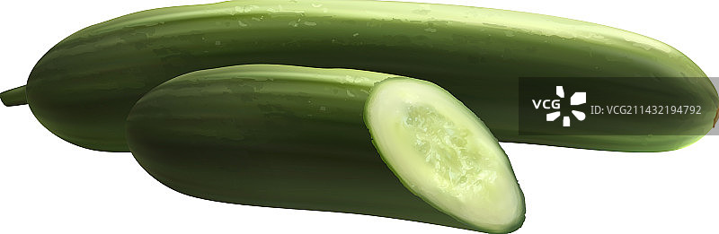 逼真黄瓜图片素材