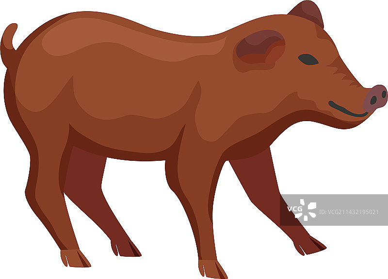 扁平风格的猪图片素材