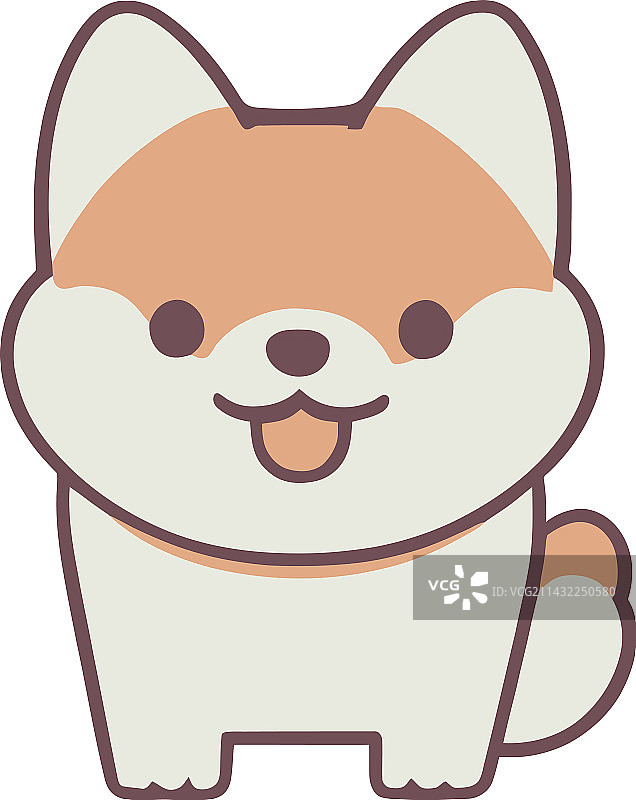 可爱的柴犬家犬图片素材