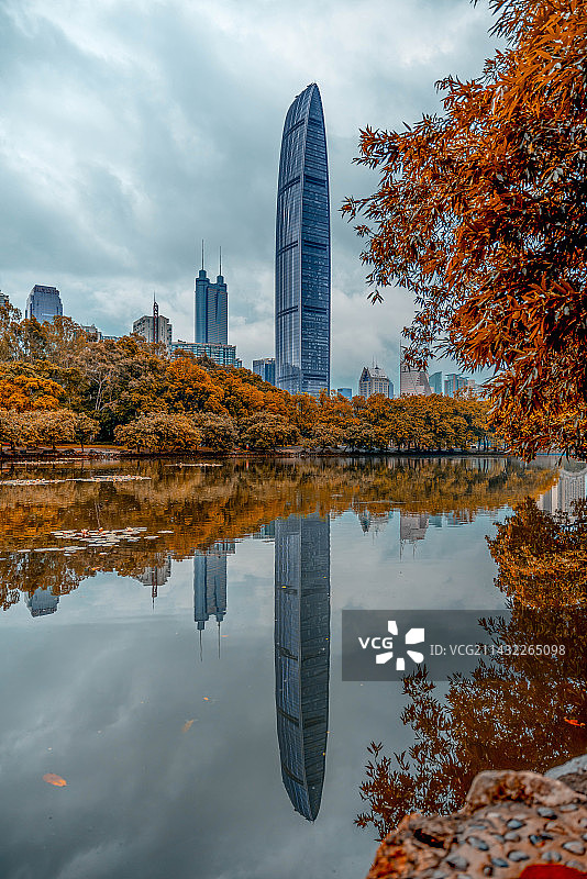 深圳京基100图片素材