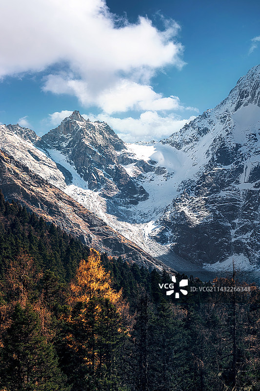 四川西部毕棚沟秋季的雪山和树林图片素材