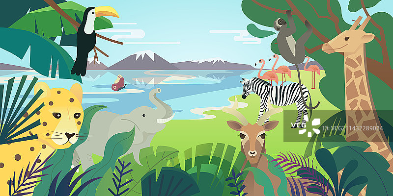 热带丛林动物图片素材