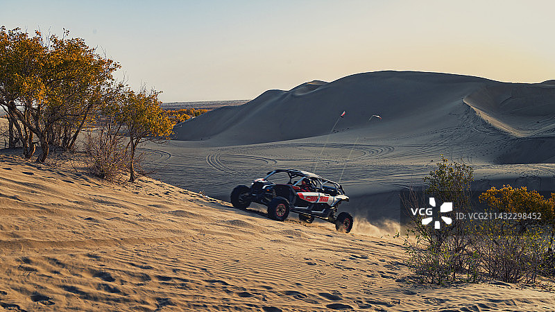 沙地疾驰（塔里木河下游葫芦岛）图片素材