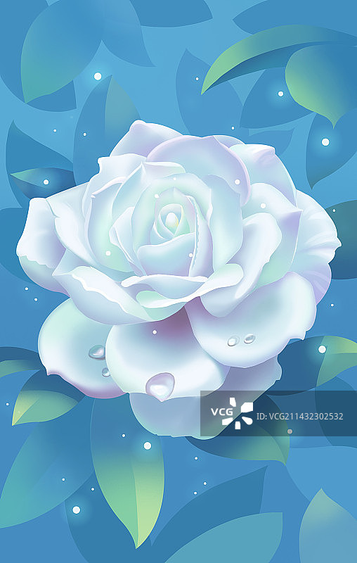 渐变治愈系白色玫瑰花卉图片素材