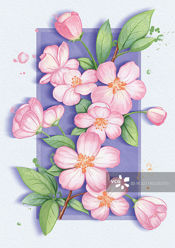 水彩花卉海棠花桃花图片素材