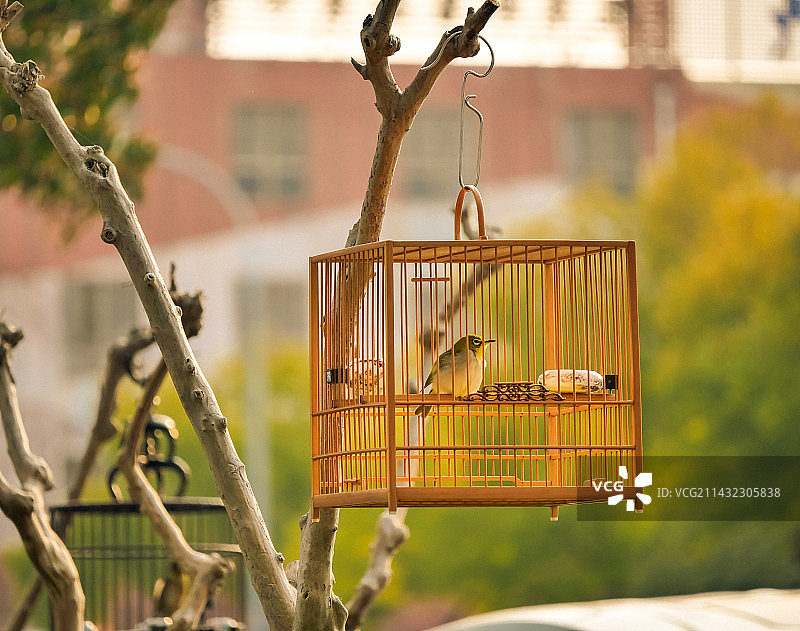 春意 惬意图片素材