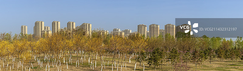 宁夏银川七十二连湖湖边绿化带春景图片素材