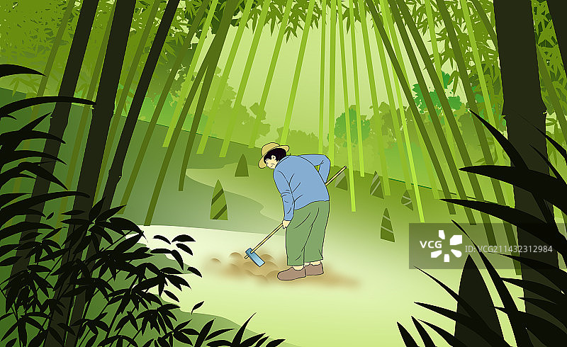 农村农民户外山上挖竹笋春天春季森林竹林自然食材野味风景插画图片素材