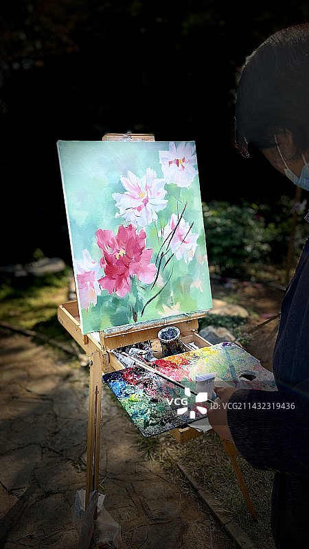 画·牡丹图片素材