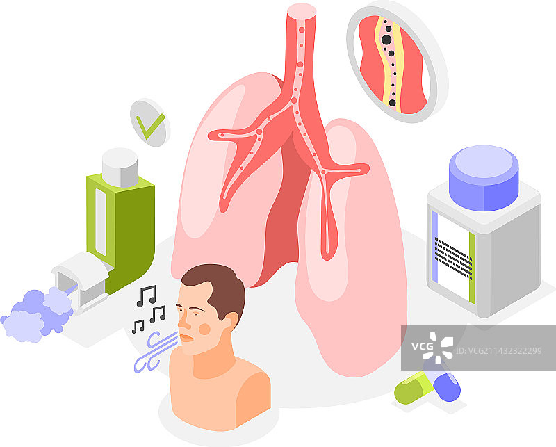 哮喘治疗肺部结构图片素材