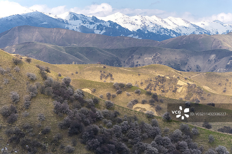 伊犁吐尔根杏花沟图片素材