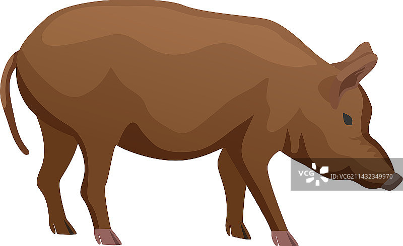扁平风格的猪图片素材