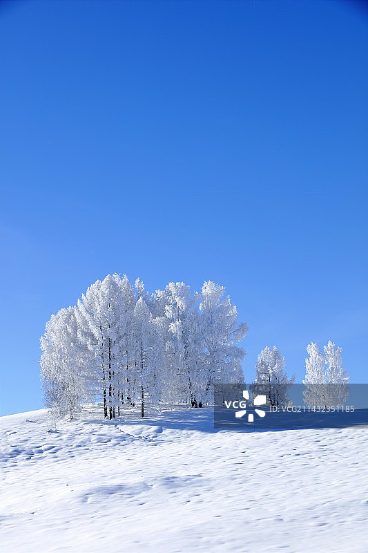 新疆喀纳斯禾木的冬天图片素材