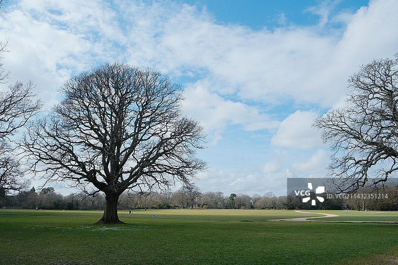英国春天的公园图片素材