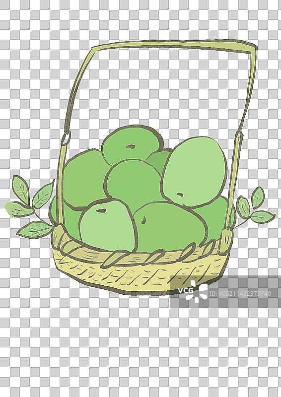 青青的枣子图片素材