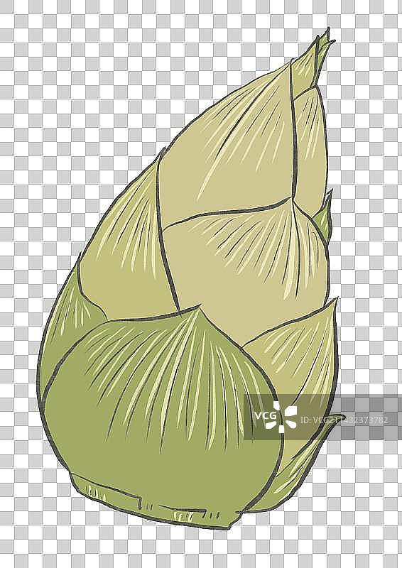 春笋笋笋图片素材