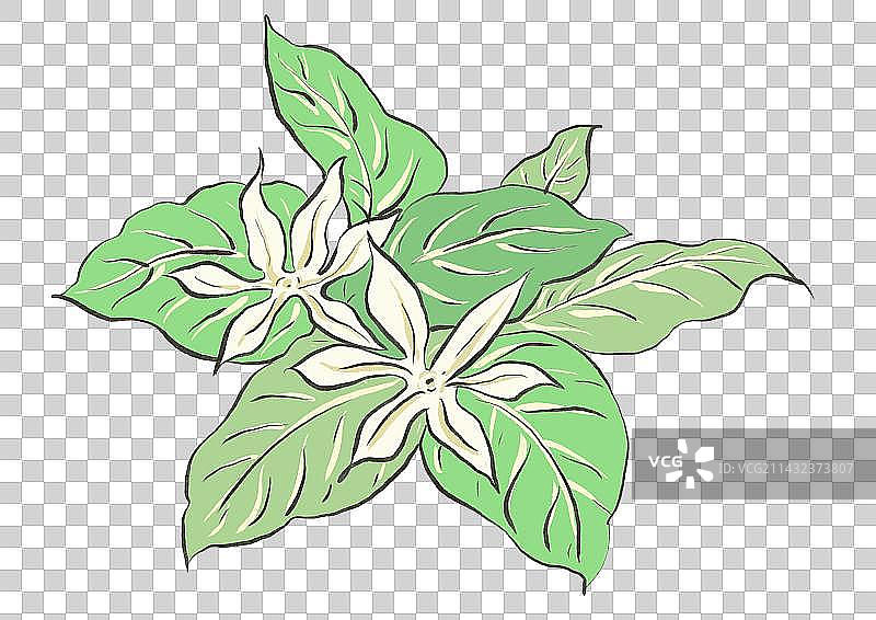 咖啡文化图片素材