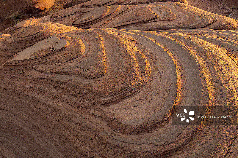 羽毛状的沙岩图片素材