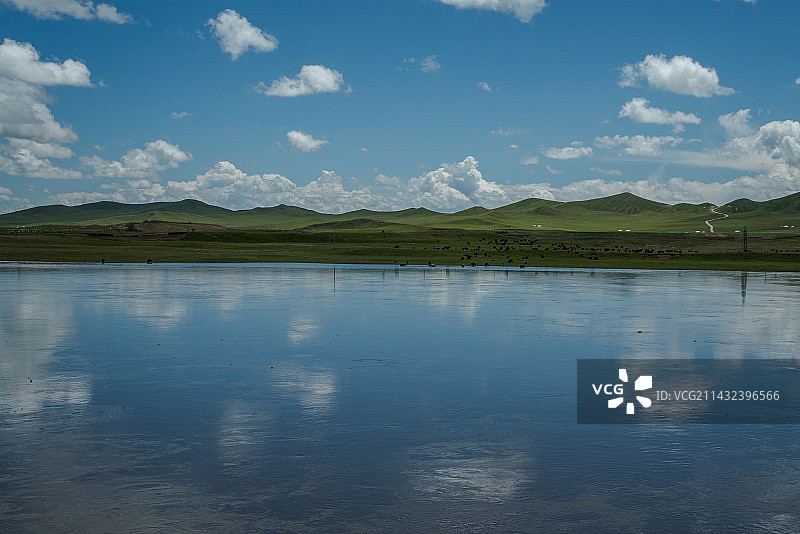 玛曲，天下黄河第一湾图片素材