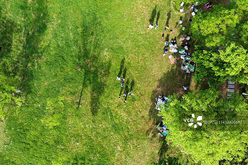 航拍公园春游露营图片素材