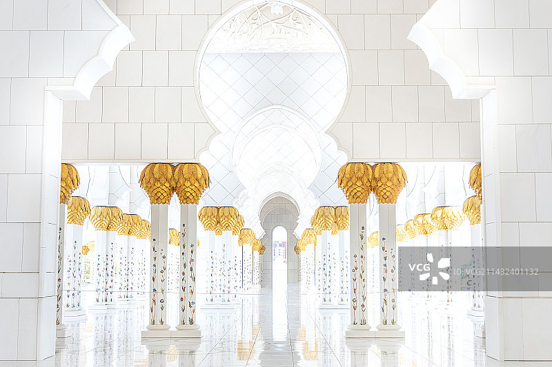 阿布扎比大清真寺，谢赫扎伊德清真寺的内部走廊特写，黄金枣椰树造型图片素材