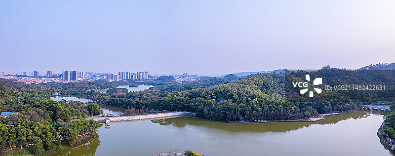 广州番禺大夫山森林公园湖泊树林航拍长图图片素材