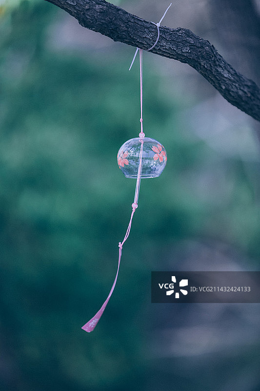 挂在树枝上的装饰特写图片素材